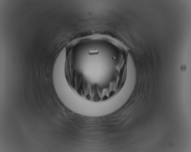 X0000089431298200707131835