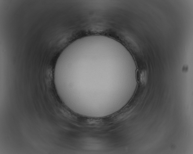 X0000089431299200707131835