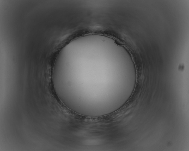 X0000089431301200707131835