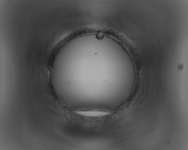 X0000089431302200707131835