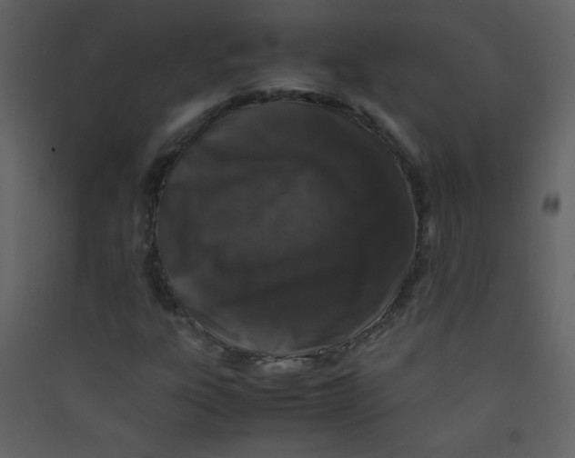 X0000089431303200707131835