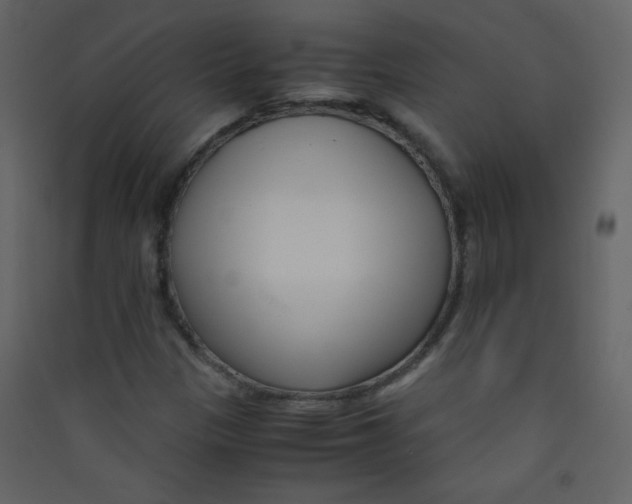 X0000089431305200707131835