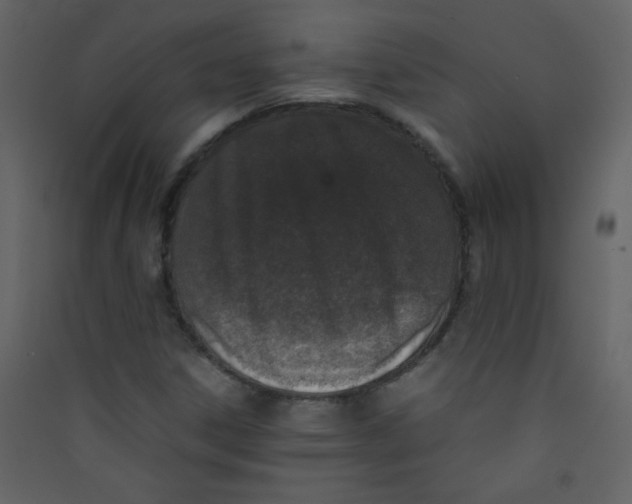 X0000089431306200707131835