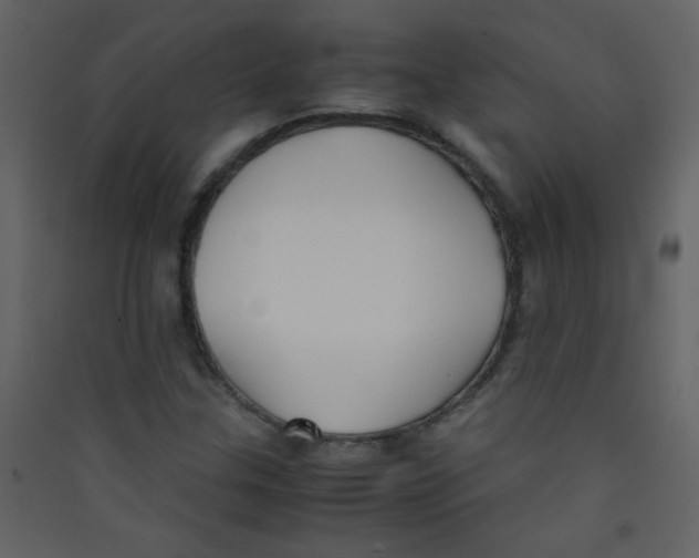 X0000089431307200707131835