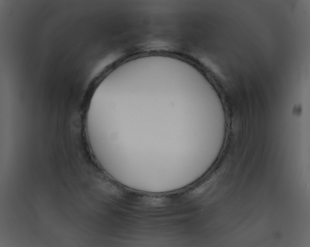 X0000089431309200707131835