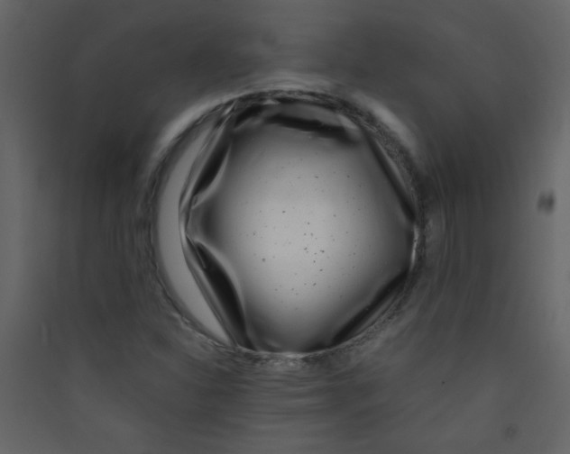 X0000089431310200707131835