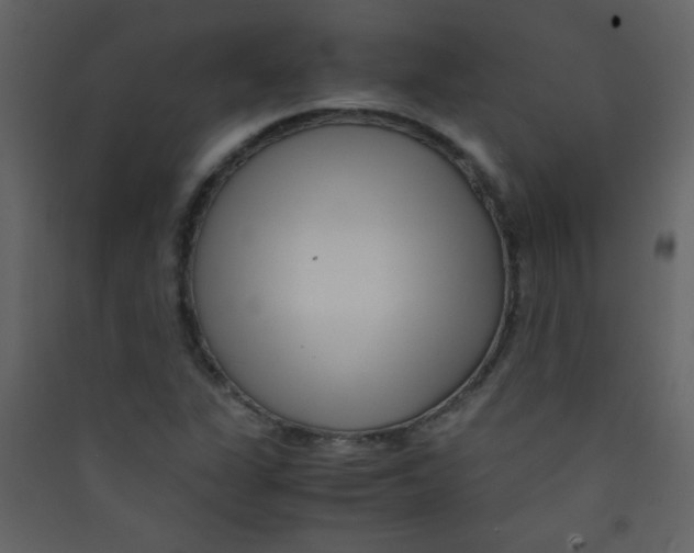 X0000089431311200707131835