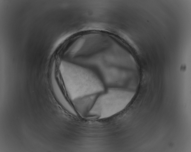 X0000089431312200707131835