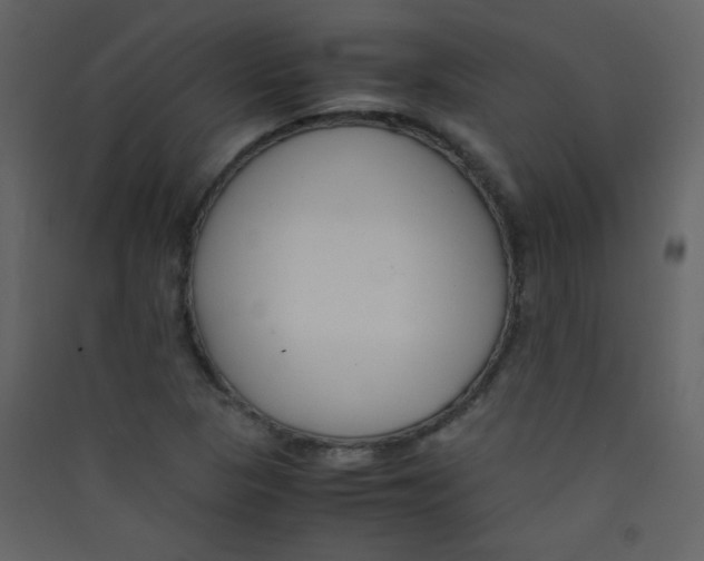 X0000089431313200707131835