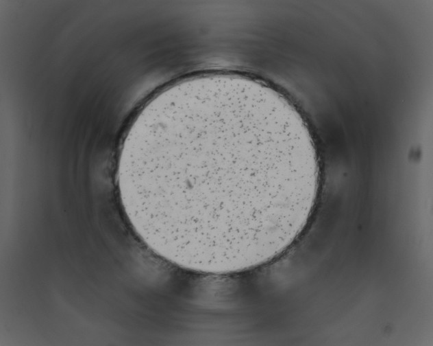 X0000089431314200707131835