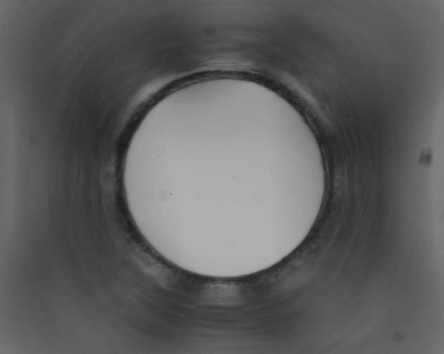 X0000089431315200707131835