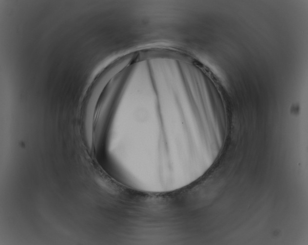 X0000089431316200707131835