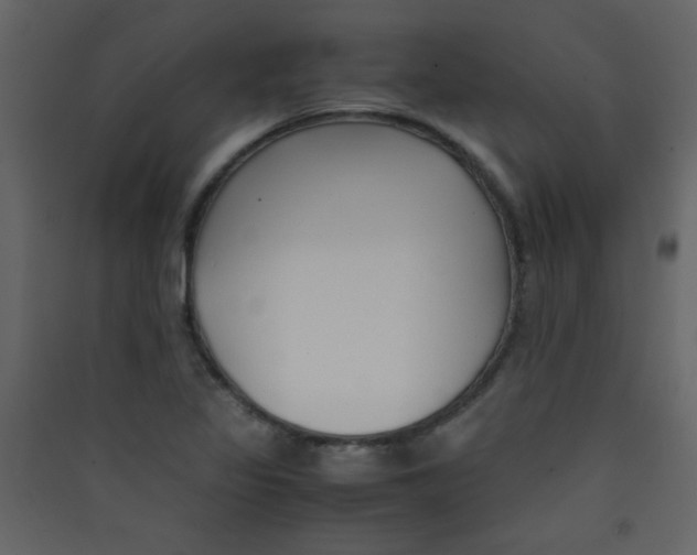 X0000089431317200707131836