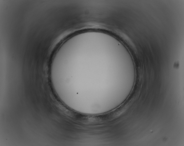 X0000089431318200707131836