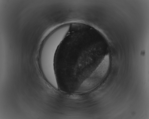 X0000089431319200707131836