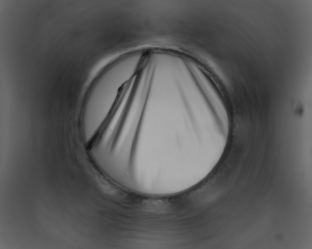 X0000089431320200707131836