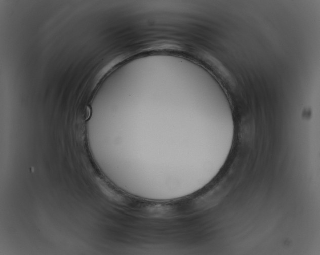 X0000089431321200707131836