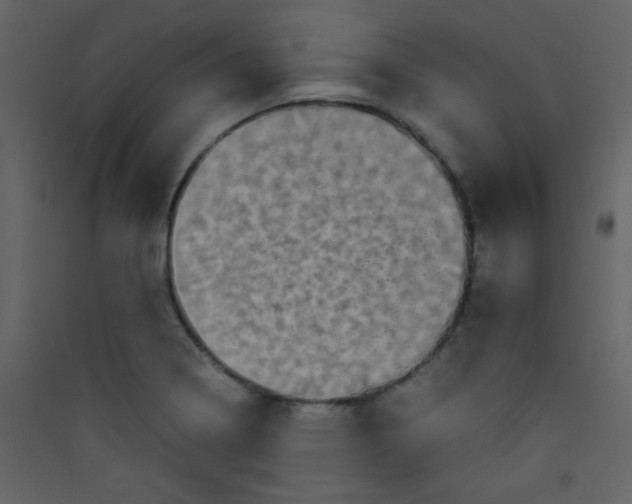 X0000089431322200707131836