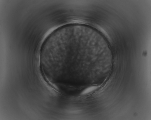 X0000089431323200707131836