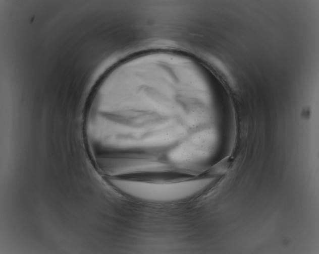 X0000089431326200707131836