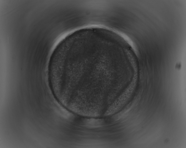 X0000089431327200707131836