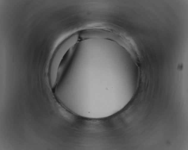 X0000089431328200707131836