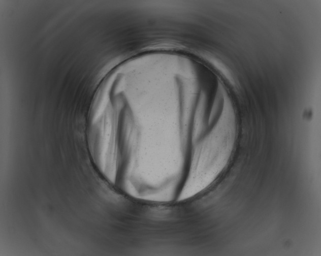 X0000089431329200707131836