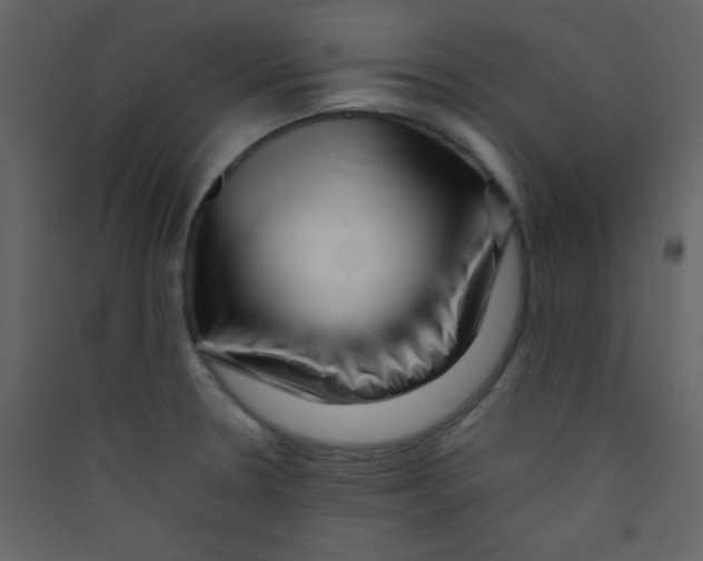 X0000089431330200707131836