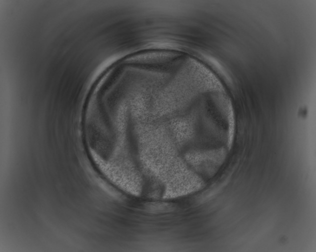 X0000089431331200707131836