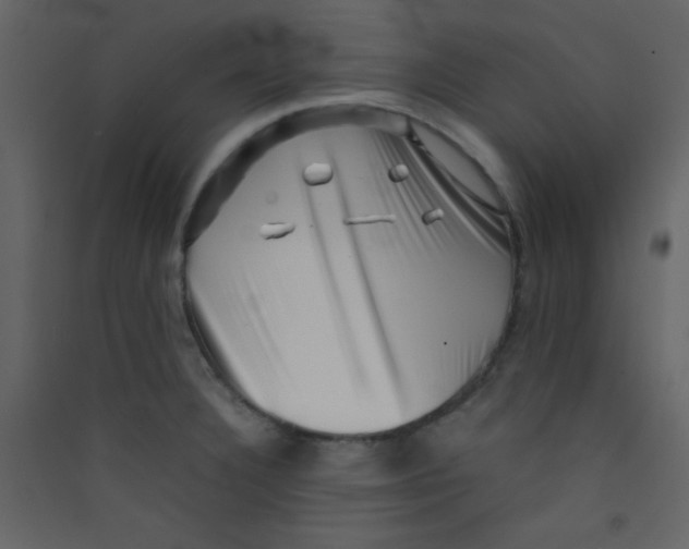 X0000089431332200707131836