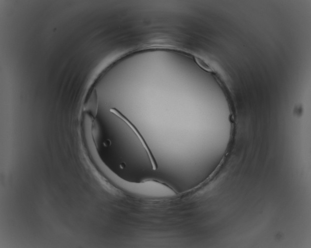 X0000089431333200707131836