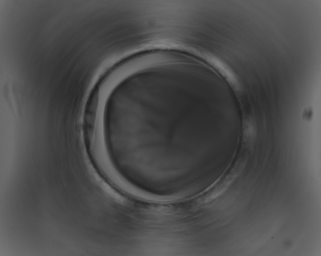 X0000089431334200707131836