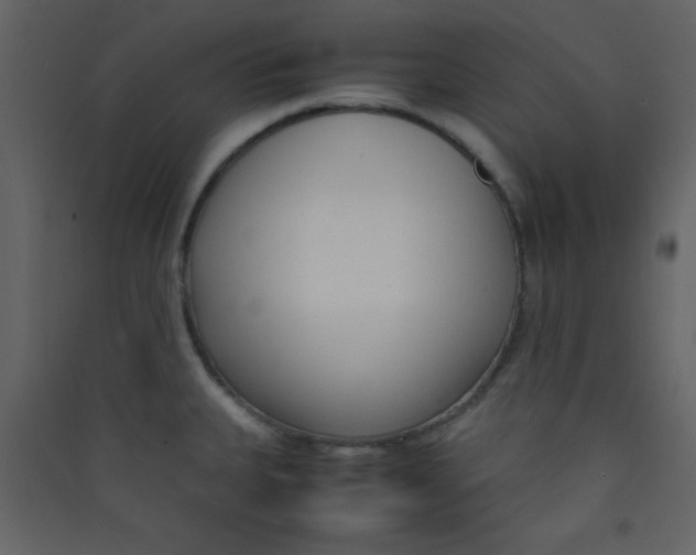 X0000089431335200707131836