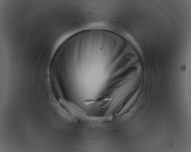 X0000089431336200707131836