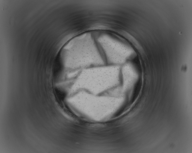 X0000089431337200707131836