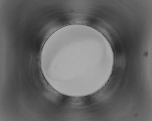 X0000089431338200707131836