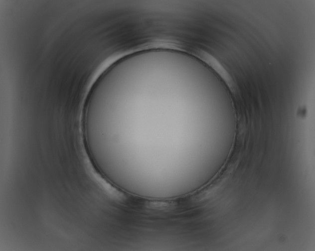 X0000089431339200707131836