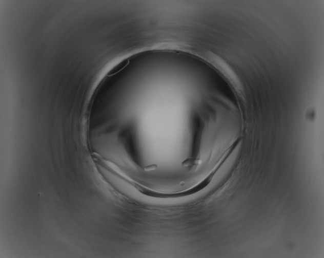 X0000089431340200707131836