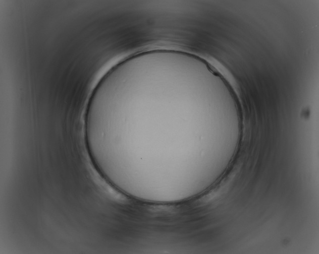 X0000089431341200707131836