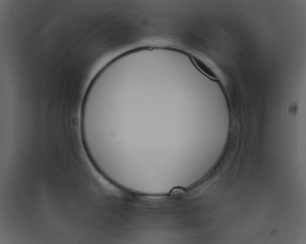 X0000089431343200707131836