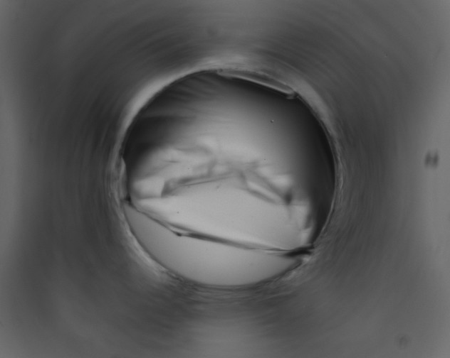 X0000089431344200707131836