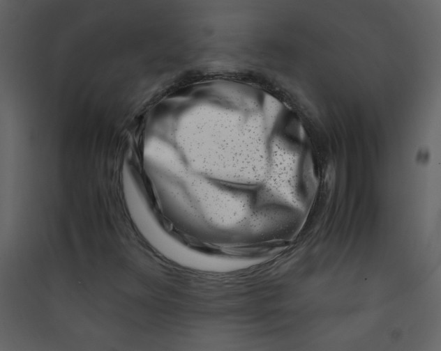 X0000089431348200707131835