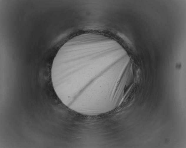 X0000089431350200707131835