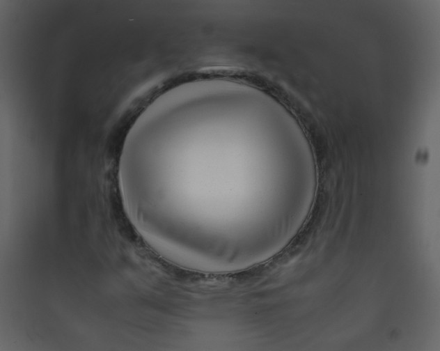 X0000089431351200707131835