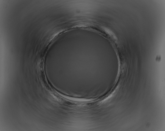 X0000089431353200707131835