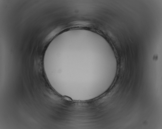 X0000089431354200707131835