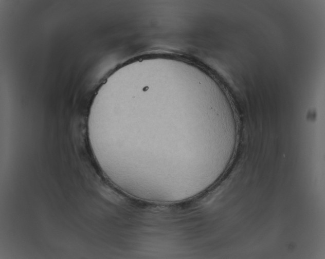 X0000089431355200707131835