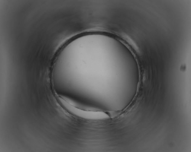 X0000089431356200707131835