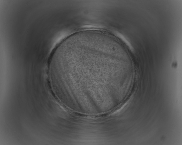 X0000089431357200707131835