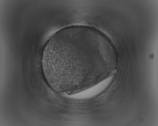 X0000089431359200707131835